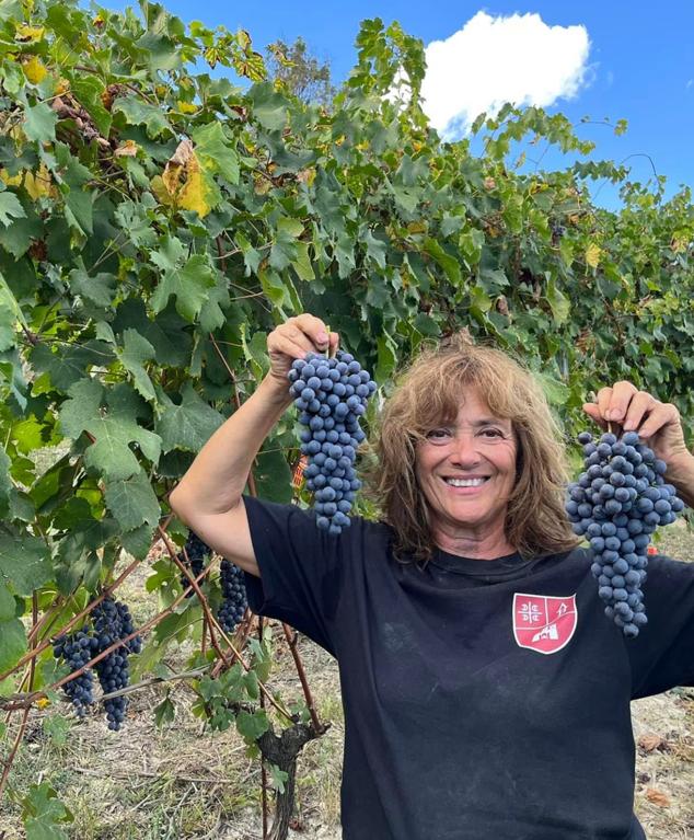E. Pira Chiara Boschis Barbera D'Alba 2020 - LUOMU