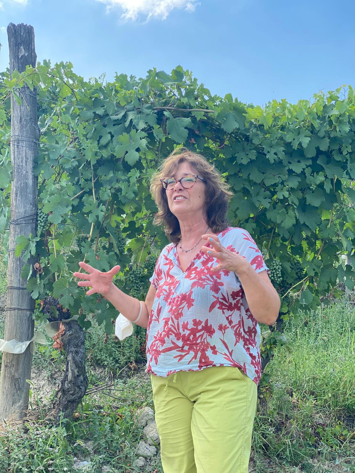 E. Pira Chiara Boschis Barbera D'Alba 2020 - LUOMU