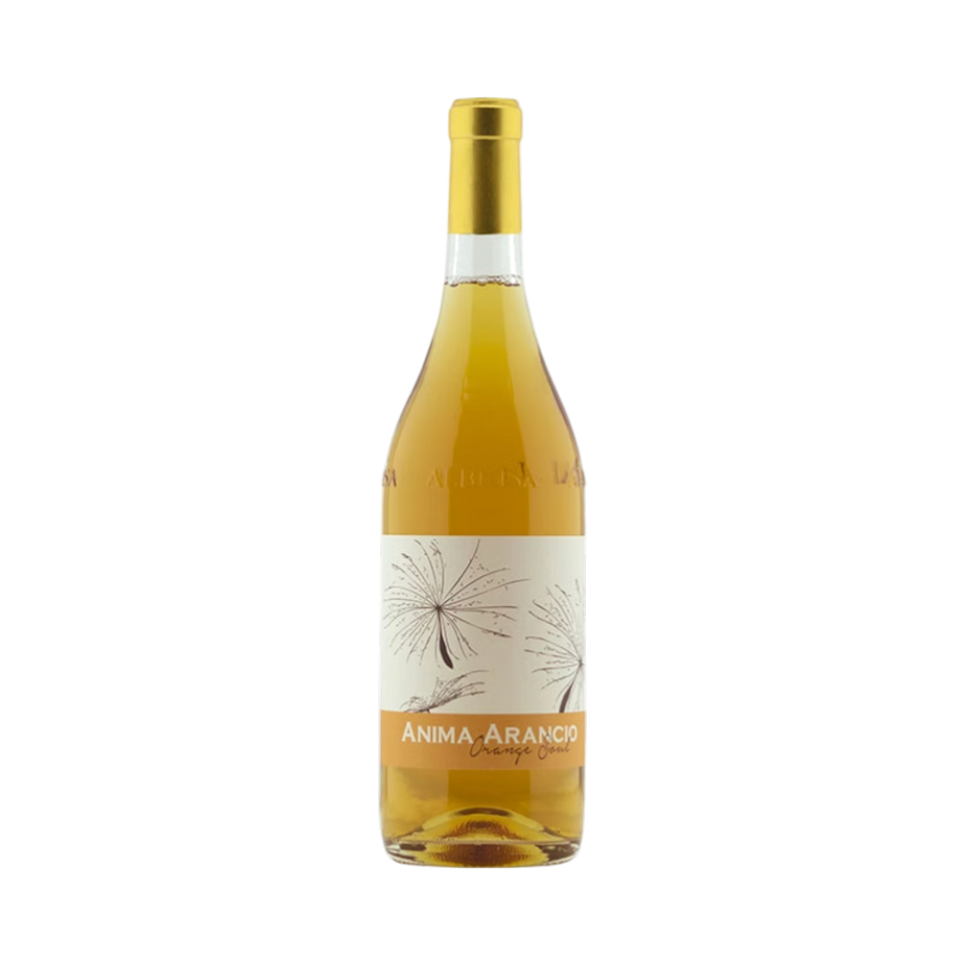 Giacomo Fenocchio Anima Arancia Orange Soul