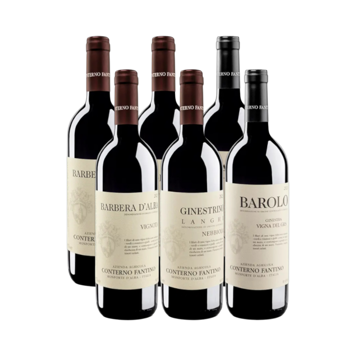 Conterno Fantino - maistelulaatikko